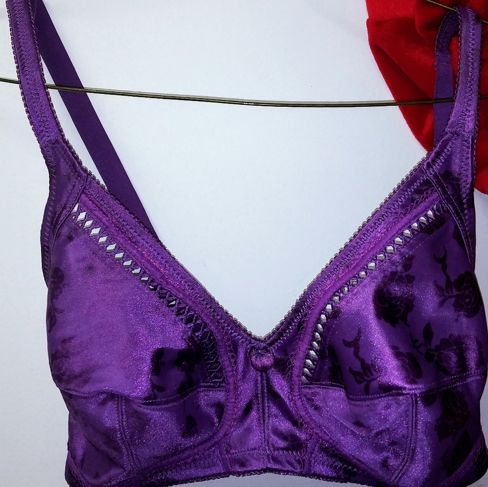 38DDD brasieres